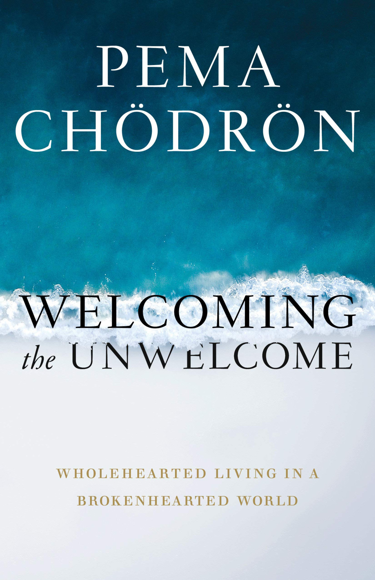 Welcoming The Unwelcome Wholehearted Living In A Brokenhearted World Pema Chdrn