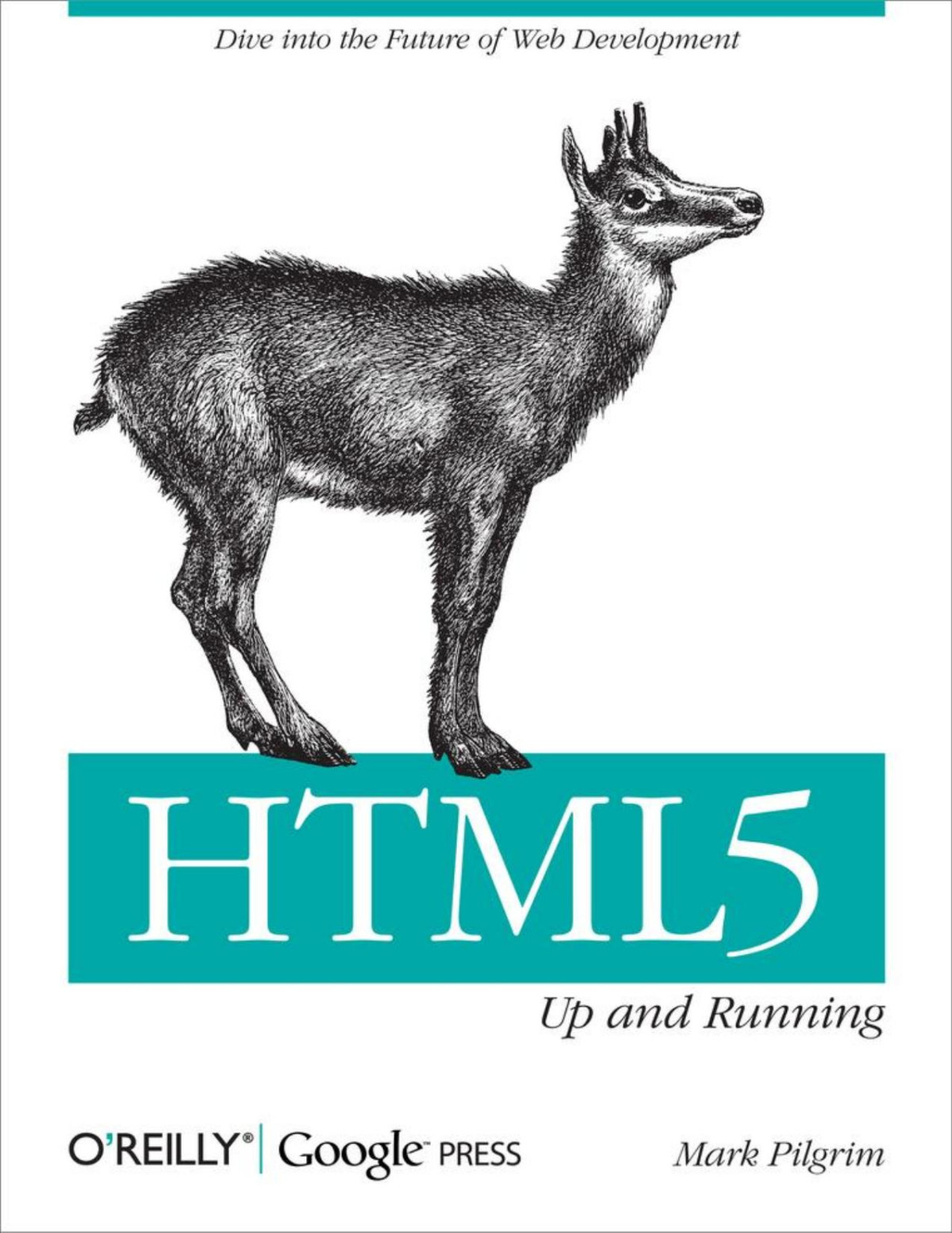 Html5 Up And Running Mark Pilgrim