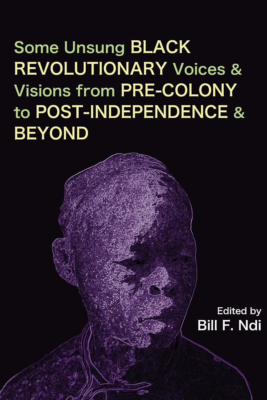 Some Unsung Black Revolutionary Voices And Visions From Precolony To Postindependence And Beyond Bill F