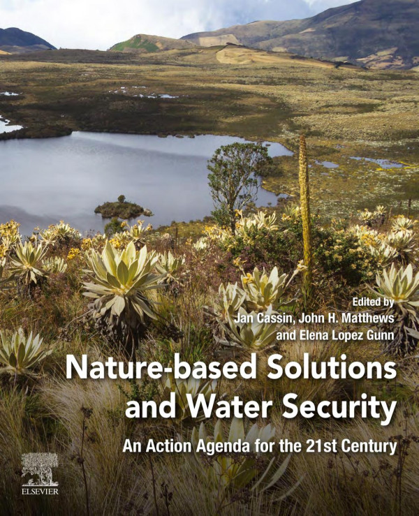 Naturebased Solutions And Water Security An Action Agenda For The 21st Century 1st Edition Jan Cassin