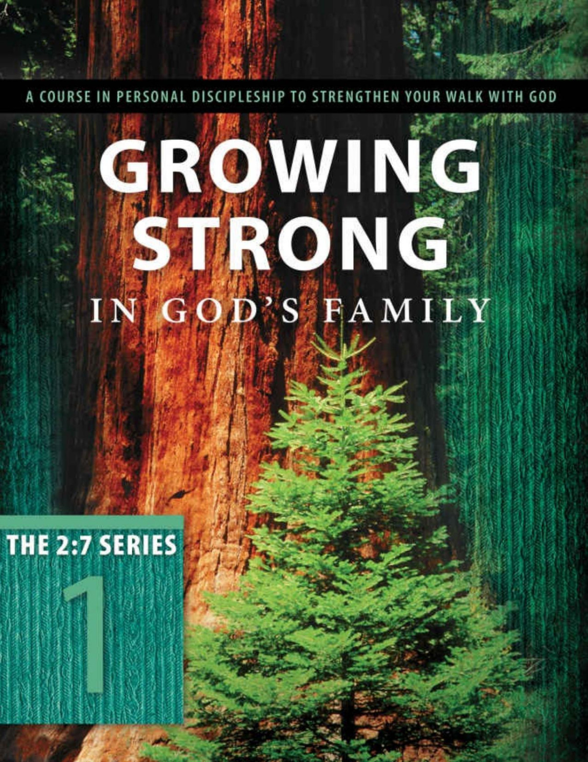 Growing Strong In Gods Family Rooted And Built Up In Him The 27 Series Book 1 Unknown