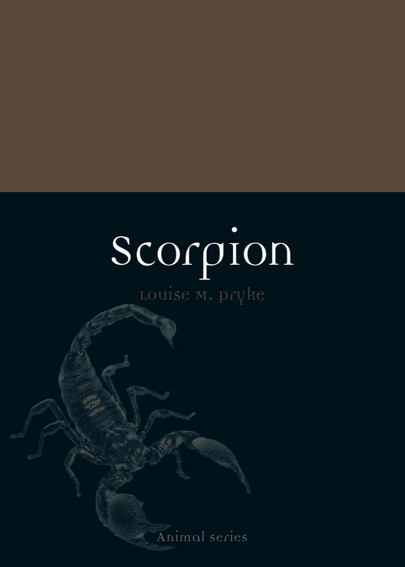 Scorpion Animal Series Louise M Pryke