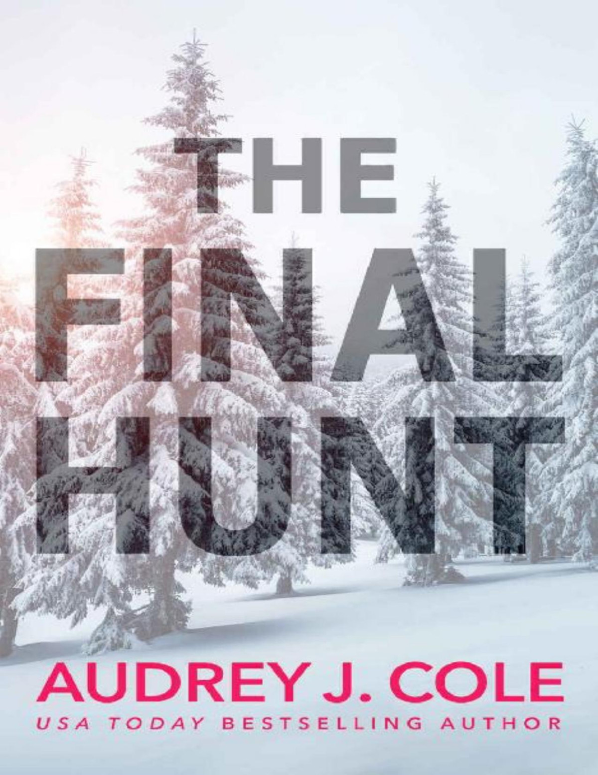 The Final Hunt Audrey J Cole