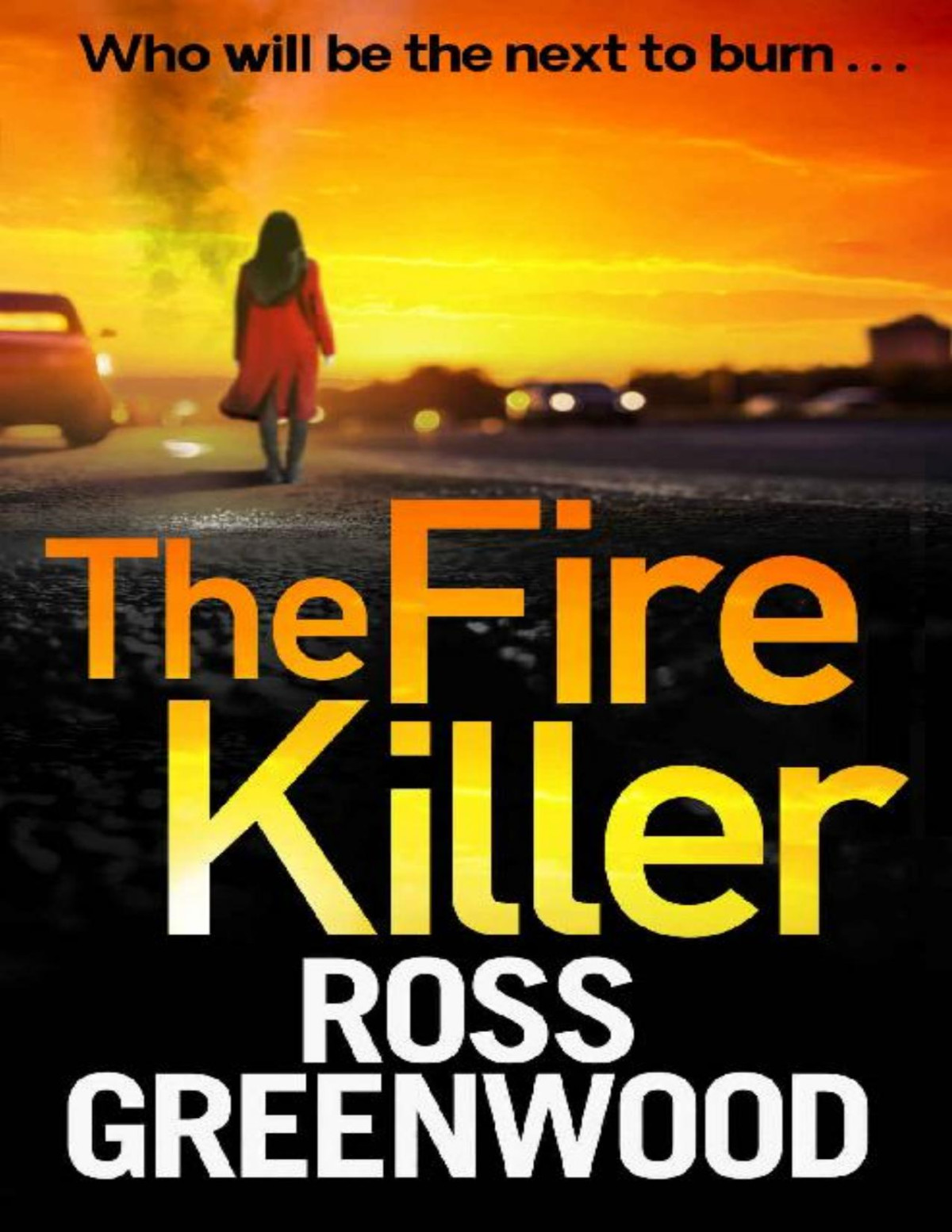 The Fire Killer The Di Barton Series Ross Greenwood