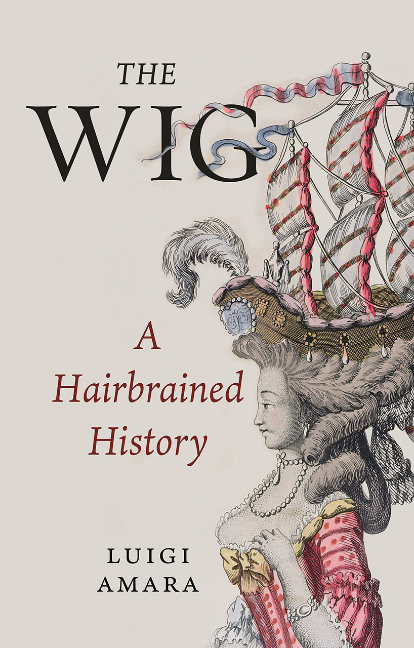 The Wig A Hairbrained History Luigi Amara Christina Macsweeney Translation