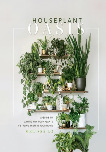 Houseplant Oasis A Guide To Caring For Your Plants Styling Them In Your Home Melissa Lo