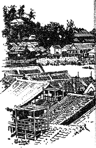 Far China Station Robert Erwin Johnson