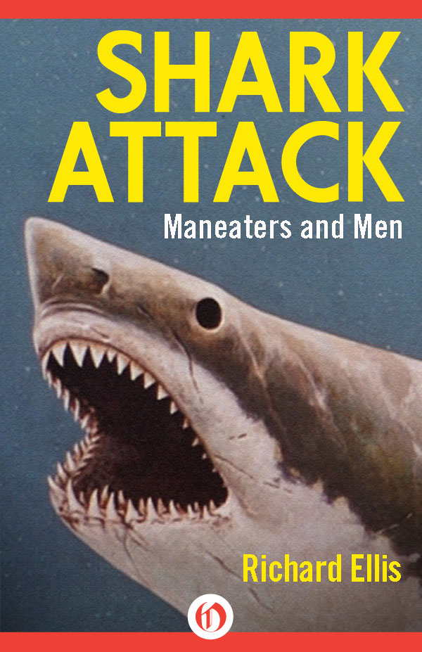 Shark Attack Ellis Richard