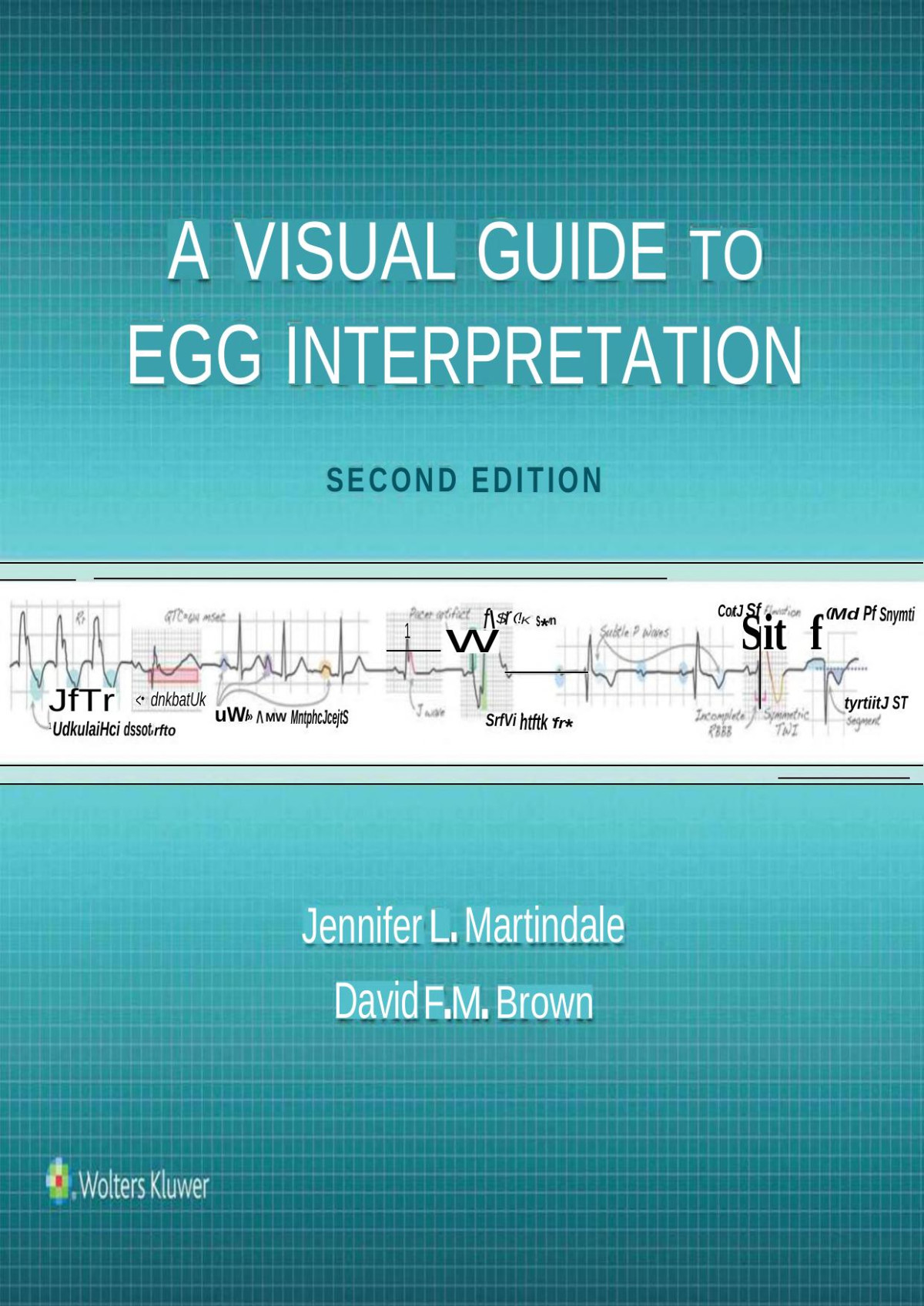 A Visual Guide To Ecg Interpretation 2nd Ed 2nd Edition Jennifer L Martindale David F Brown