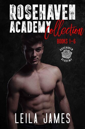Rosehaven Academy Collection Books 16 1st Edition Leila James