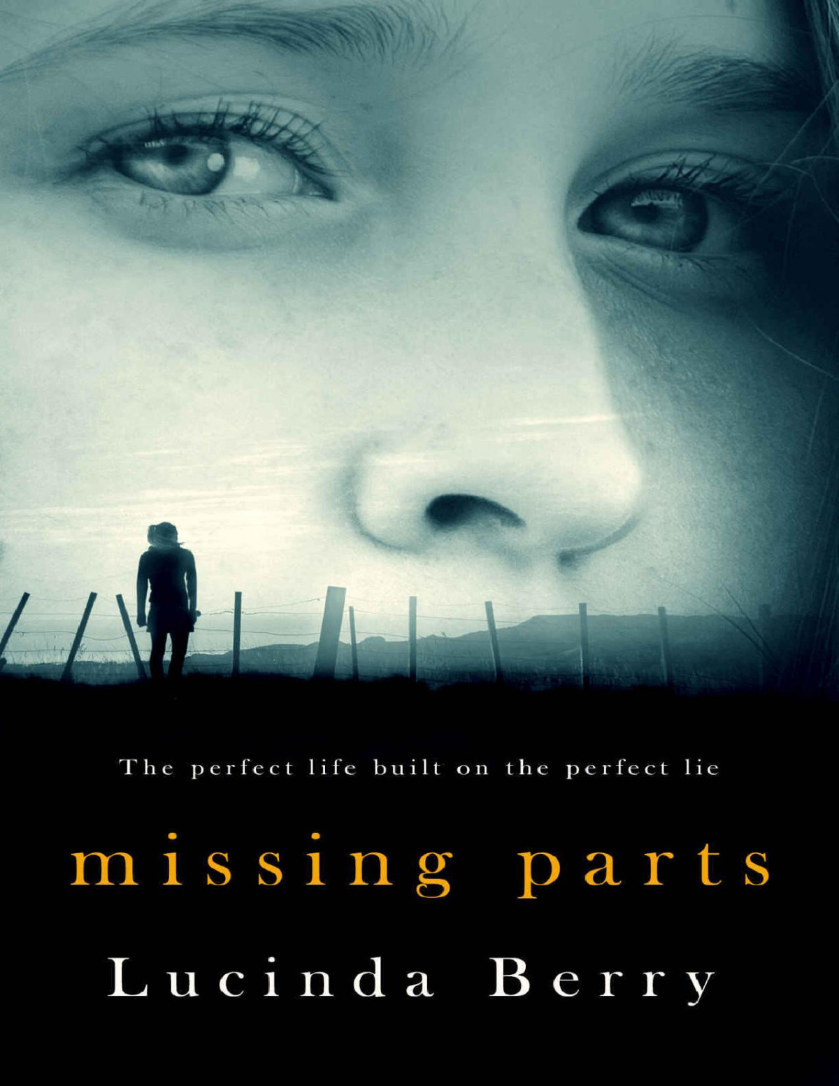 Missing Parts Lucinda Berry
