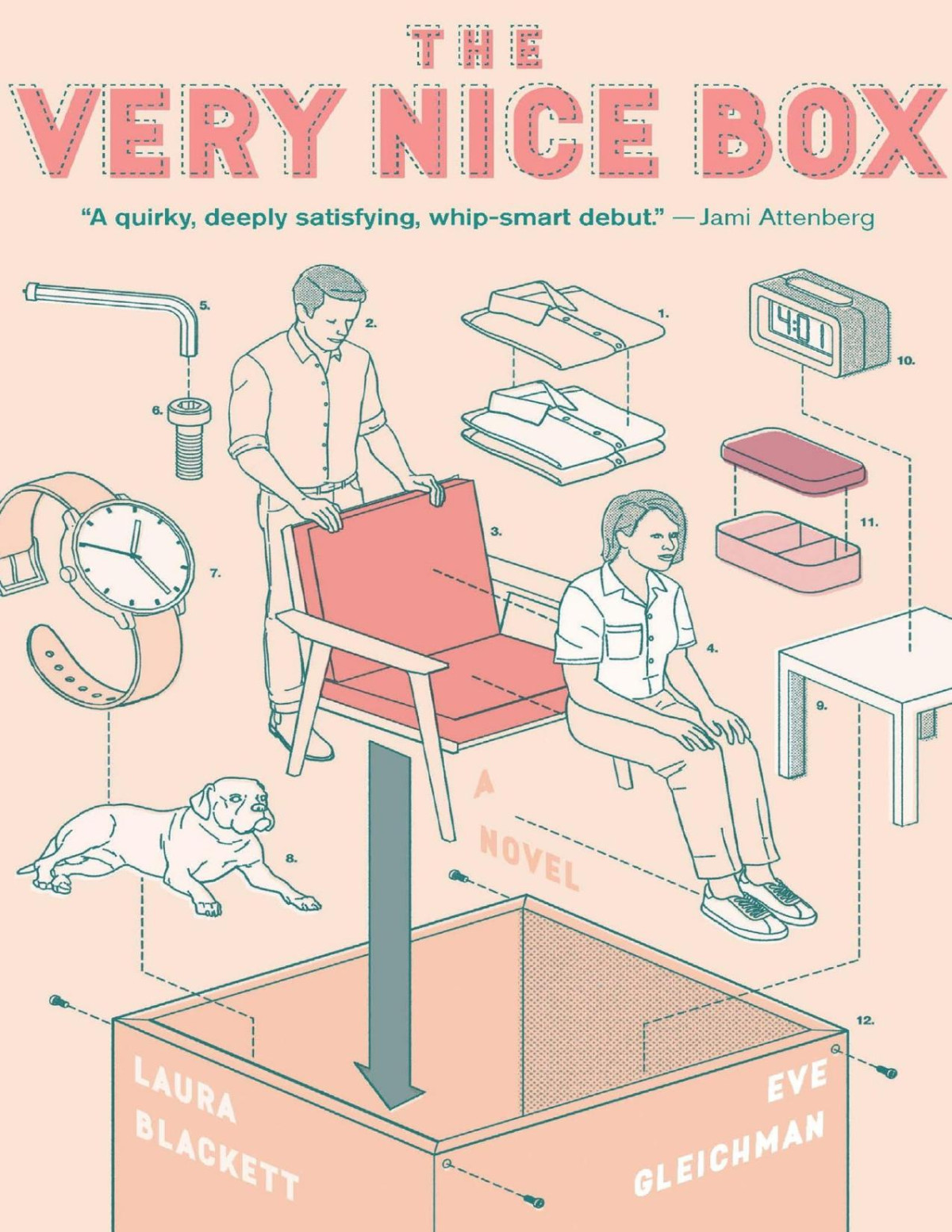 The Very Nice Box Eve Gleichman