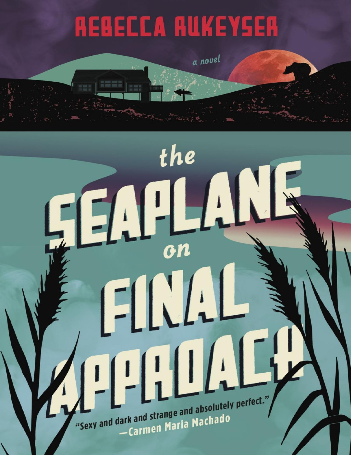 The Seaplane On Final Approach A Novel Rebecca Rukeyser