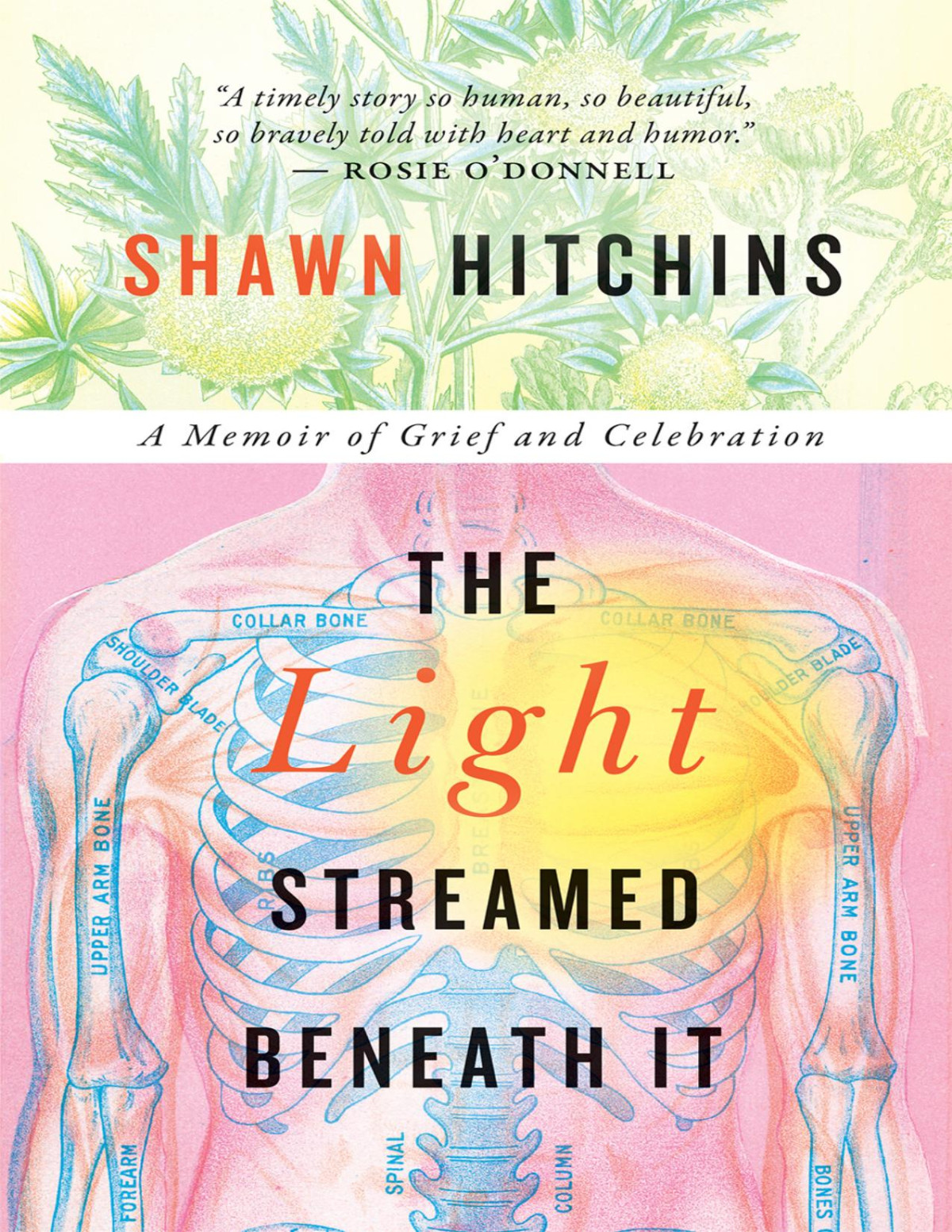 The Light Streamed Beneath It Shawn Hitchins