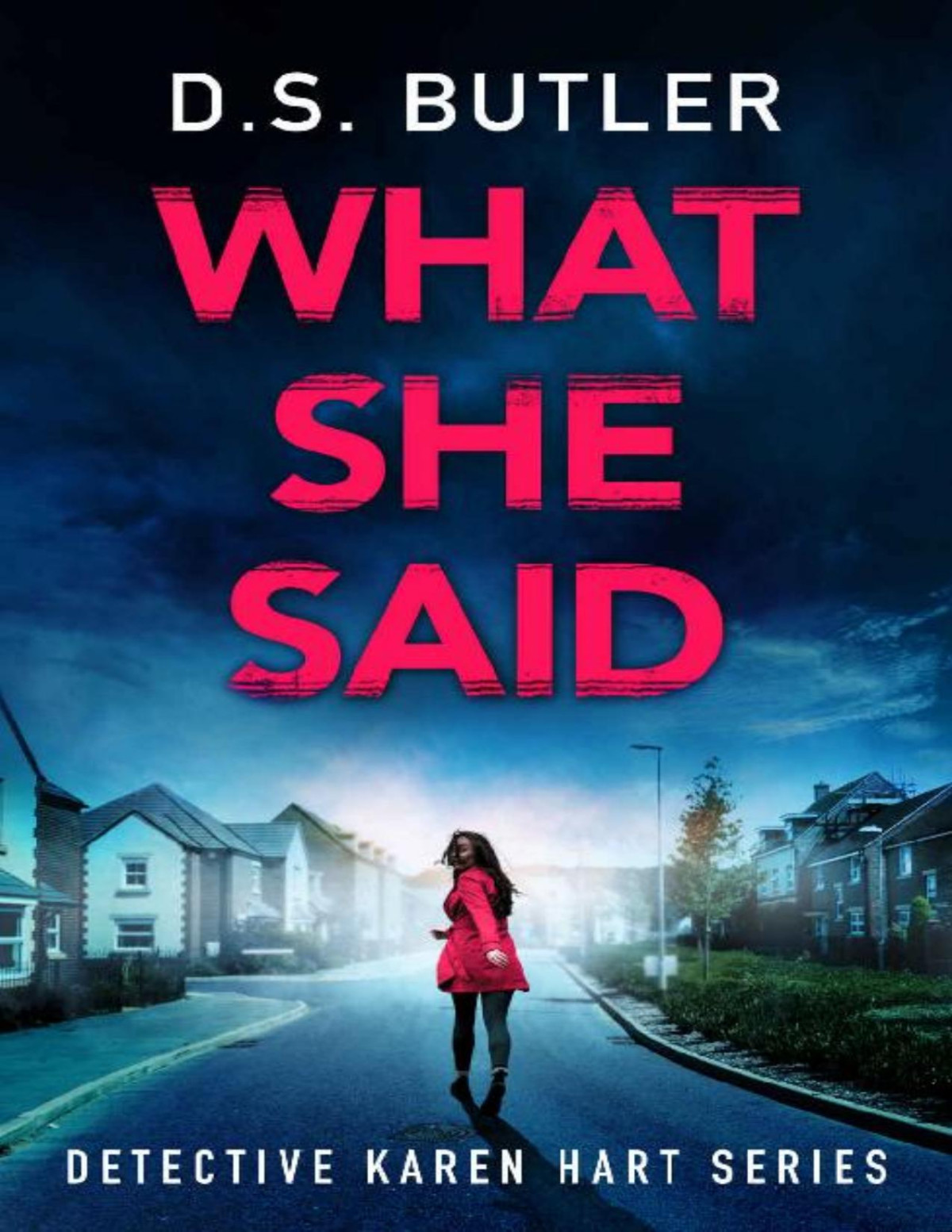 What She Said Detective Karen Hart D S Butler