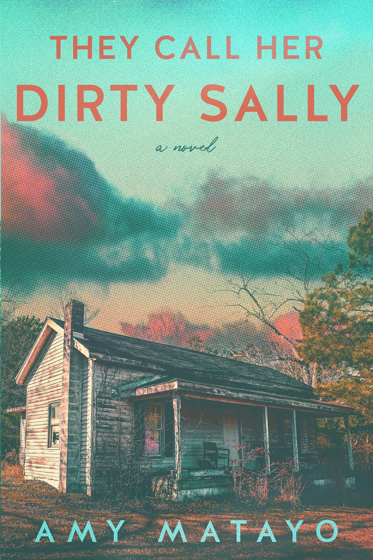 They Call Her Dirty Sally Amy Matayo
