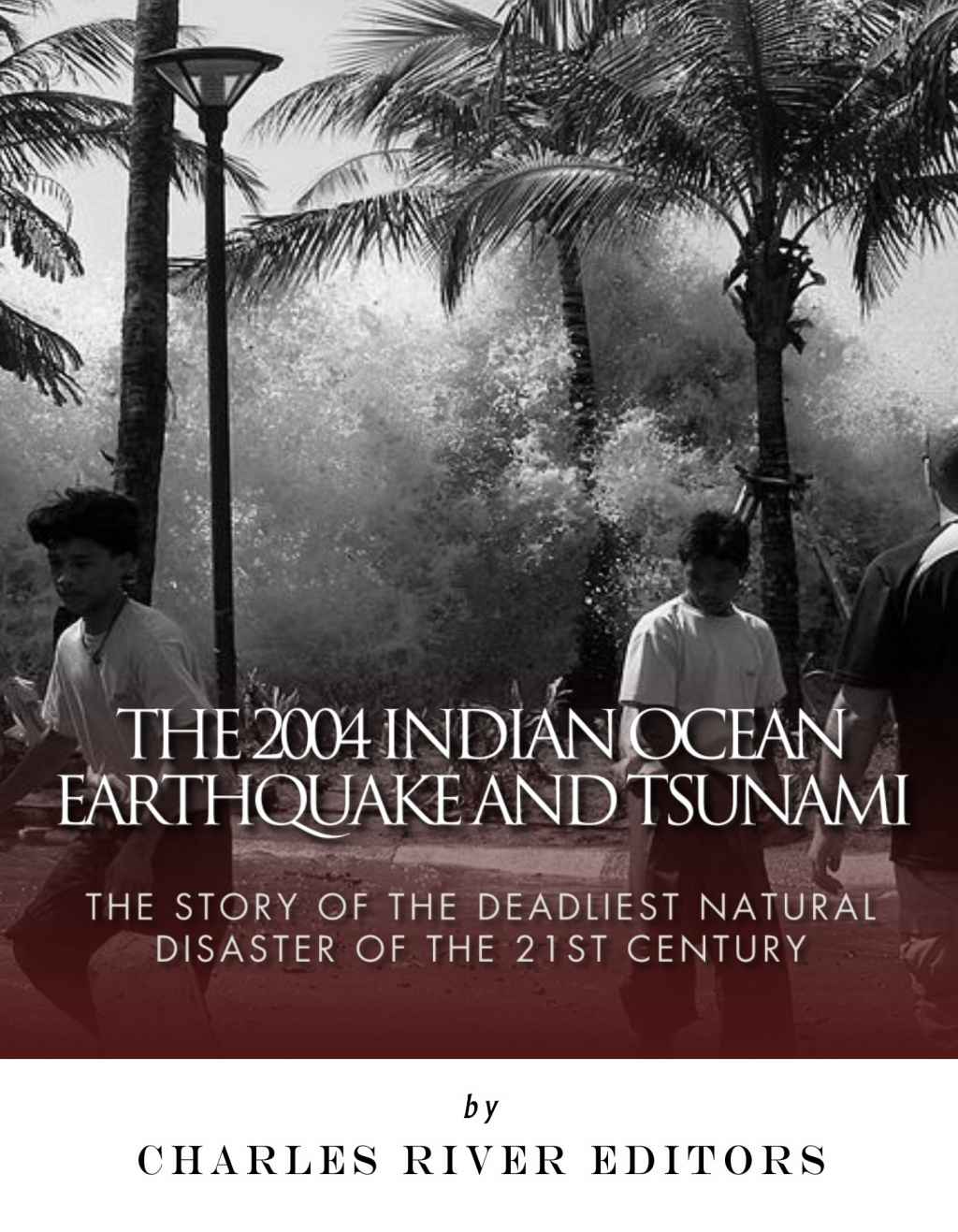 The 2004 Indian Ocean Earthquake And Tsunami The Story Of The Deadliest Natural Disaster Of The 21st Century Charles River Editors