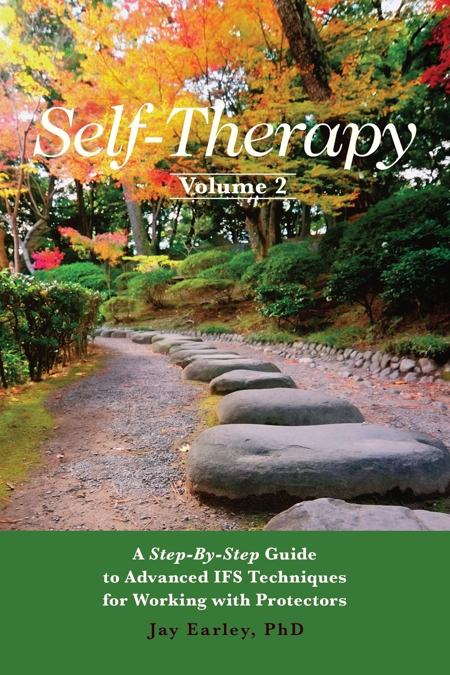Selftherapy Vol 2 A Stepbystep Guide To Advanced Ifs Techniques For Working With Protectors Jay Earley