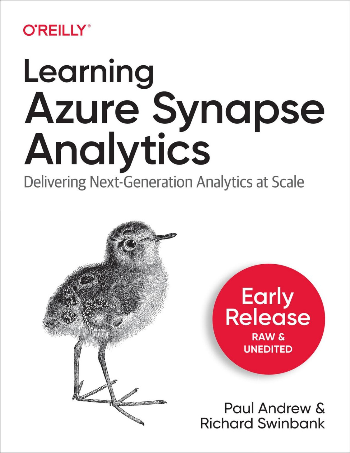 Learning Azure Synapse Analytics Third Early Release 20220803 Third Early Release Paul Andrew