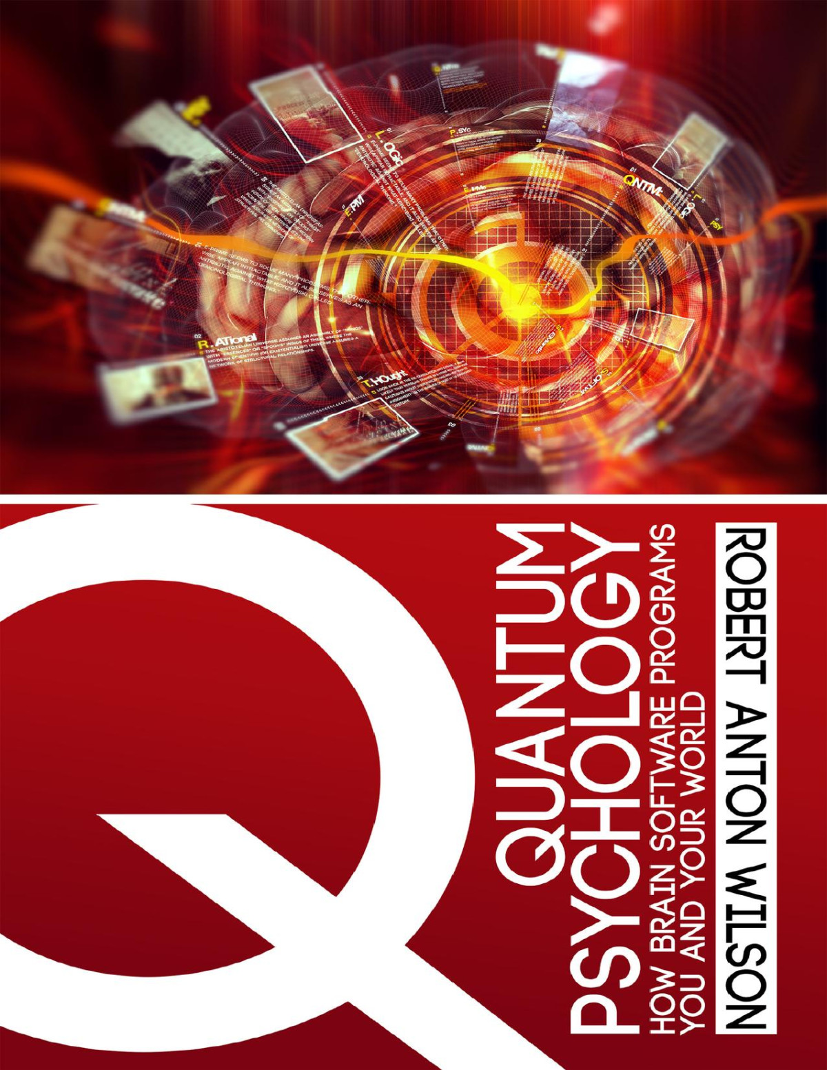 Quantum Psychology How Brain Software Programs You And Your World Wilson