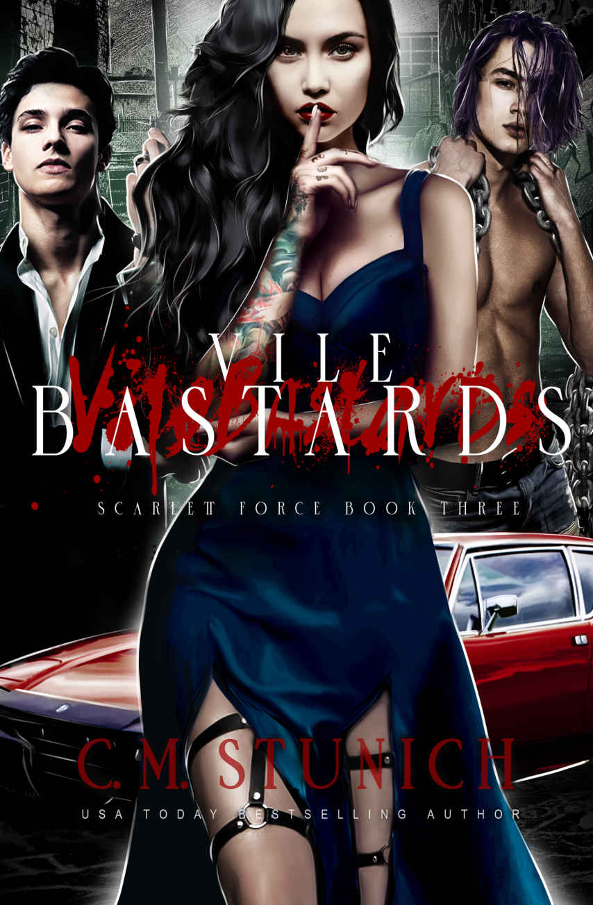 Vile Bastards Stunich Cm