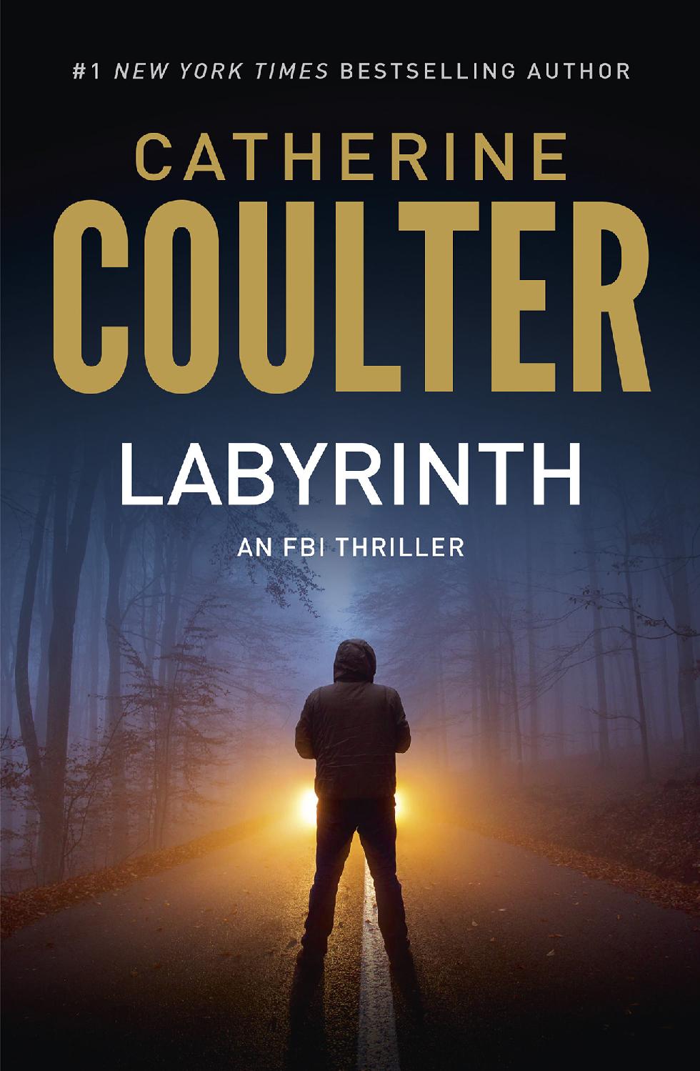 Fbi 23 Labyrinth Catherine Coulter