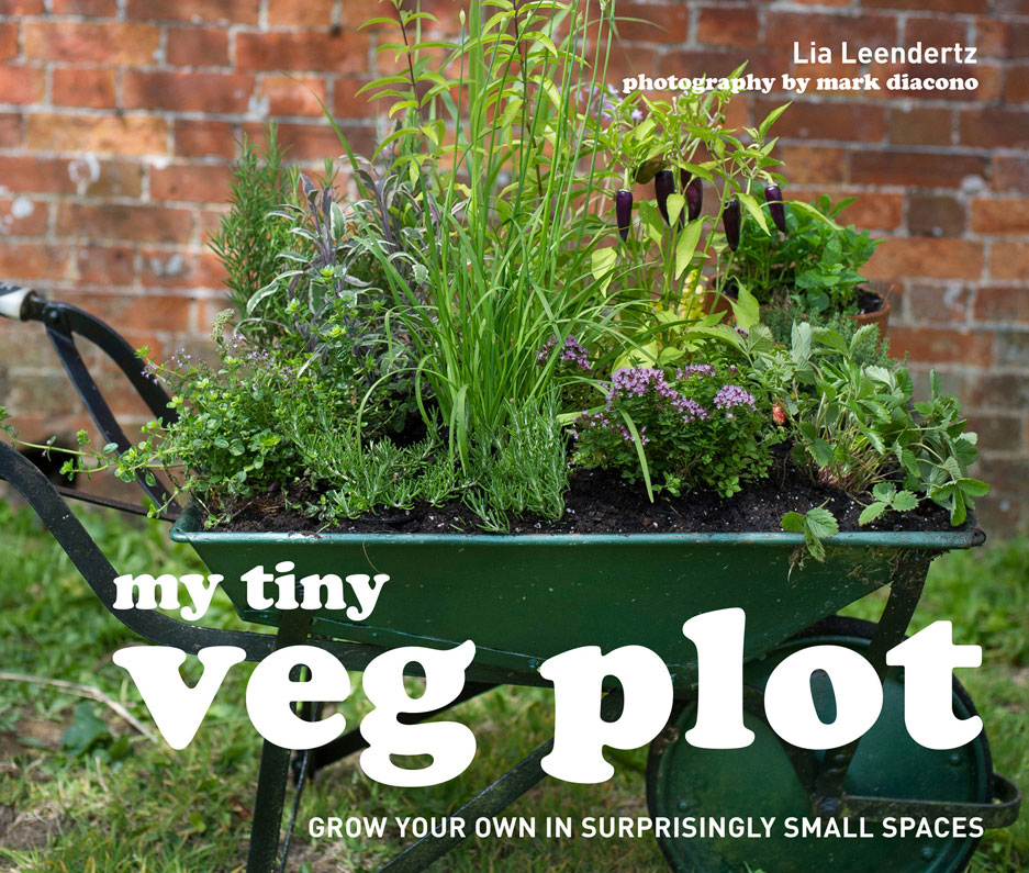 My Tiny Veg Plot Leendertz Lia