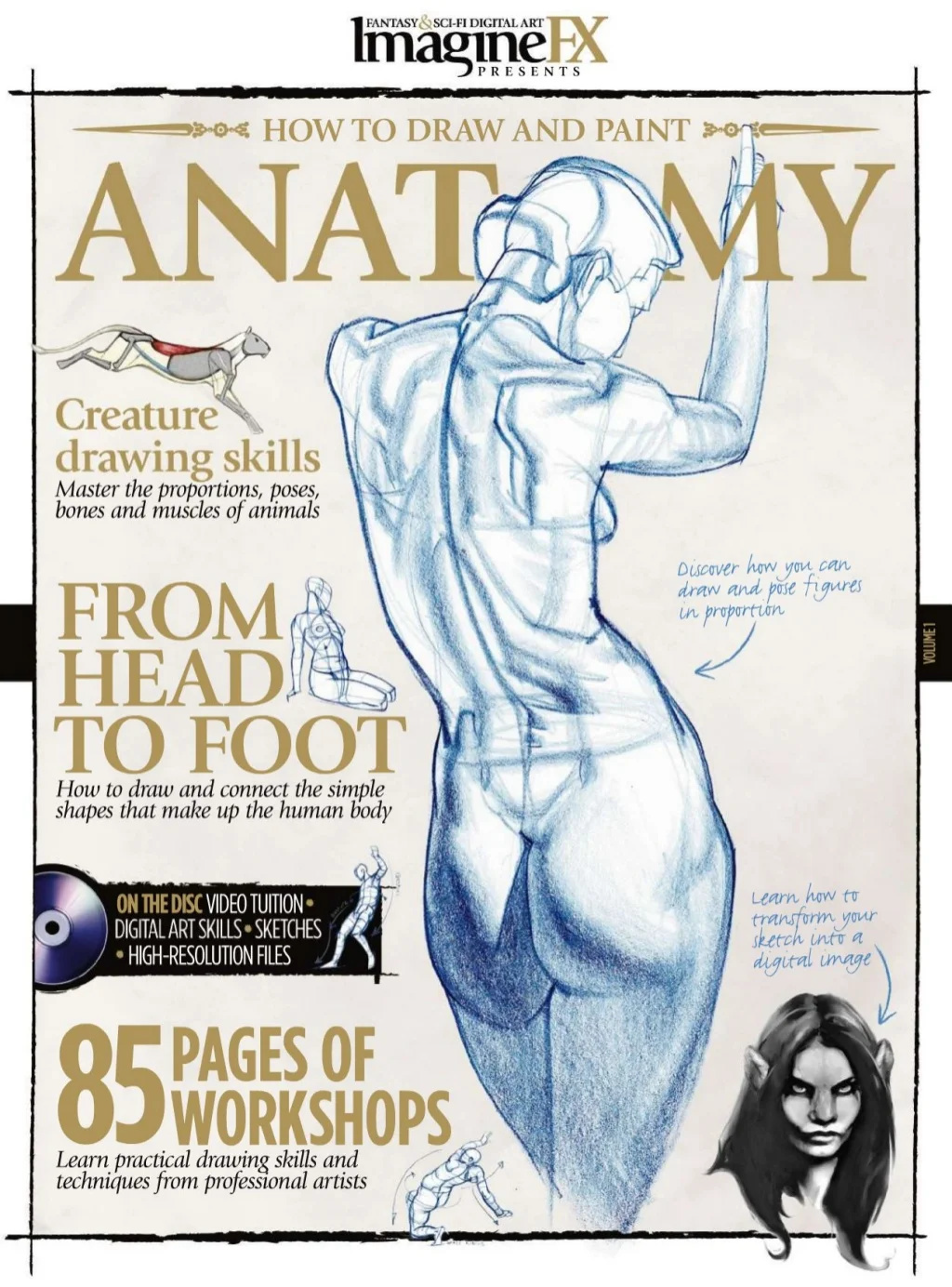 How To Draw And Paint Anatomy Claire Howlett