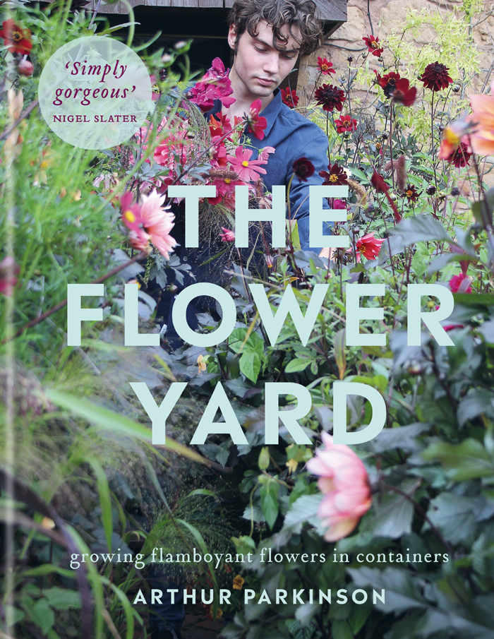 The Flower Yard Growing Flamboyant Flowers In Containers Arthur Parkinson