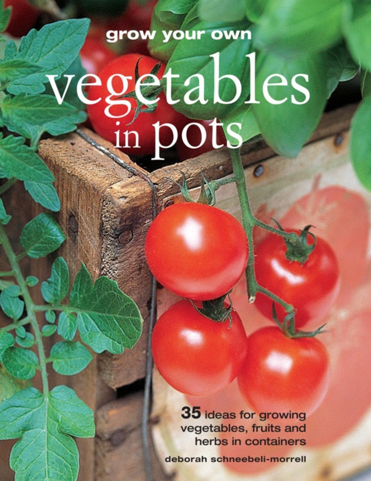 Grow Your Own Vegetables In Pots Deborah Schneebelimorrell