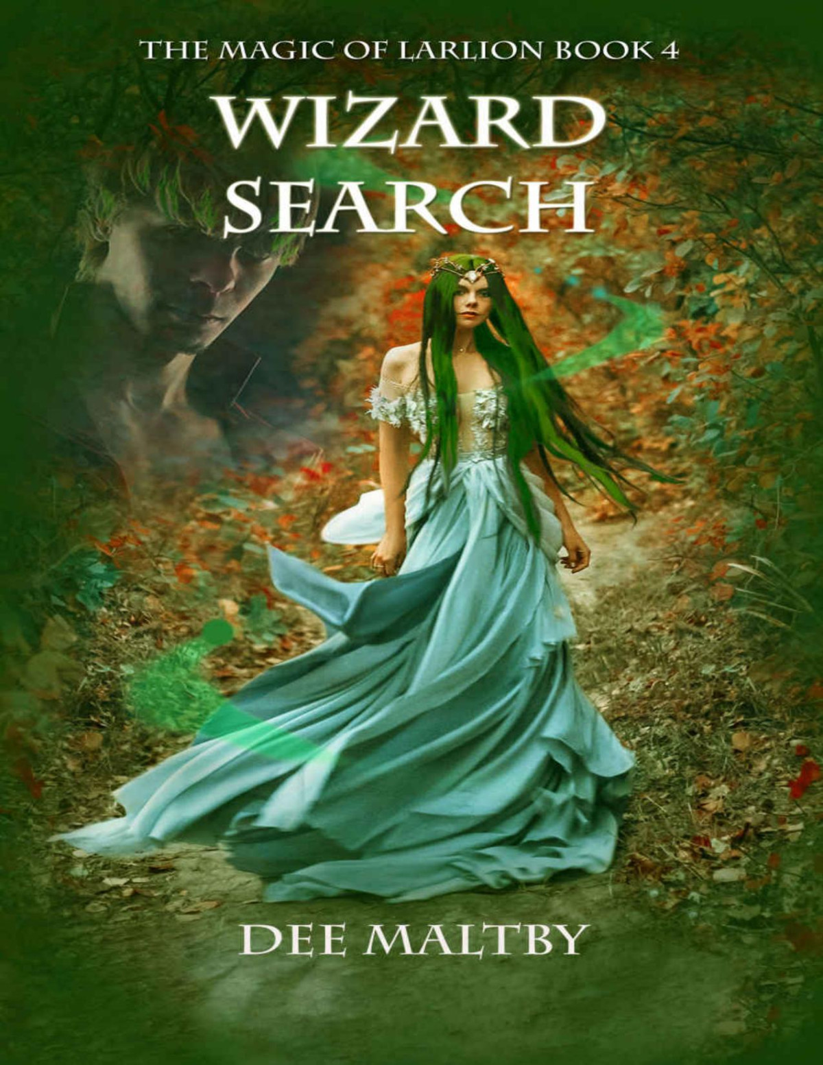 Wizard Search The Magic Of Larlion Book 4 Dee Maltby