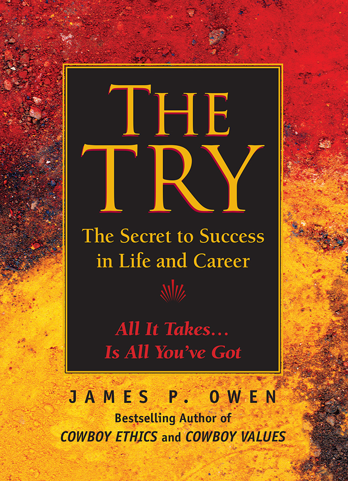The Try The Secret To Success In Life And Career James P Owen