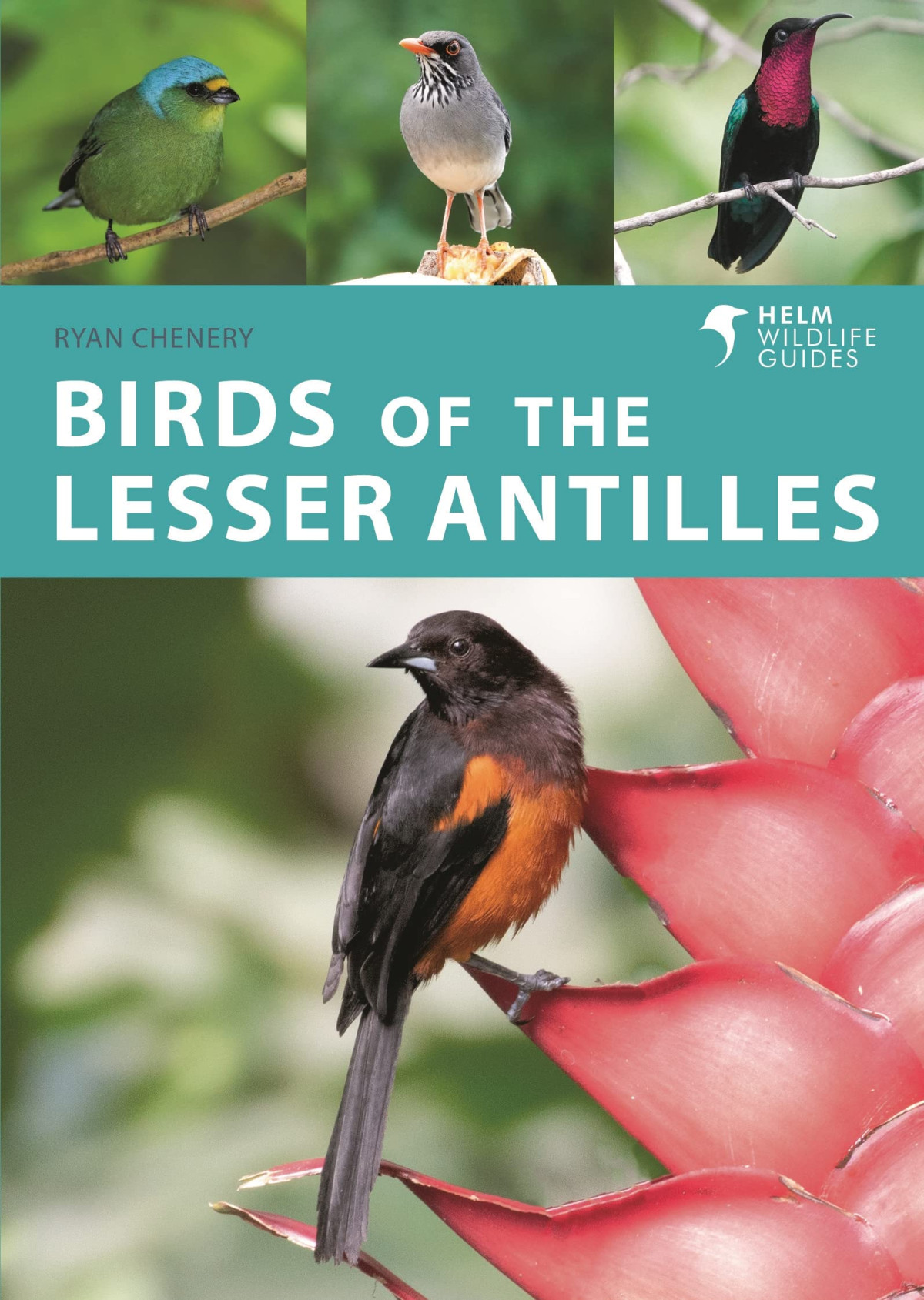 Birds Of The Lesser Antilles Ryan Chenery
