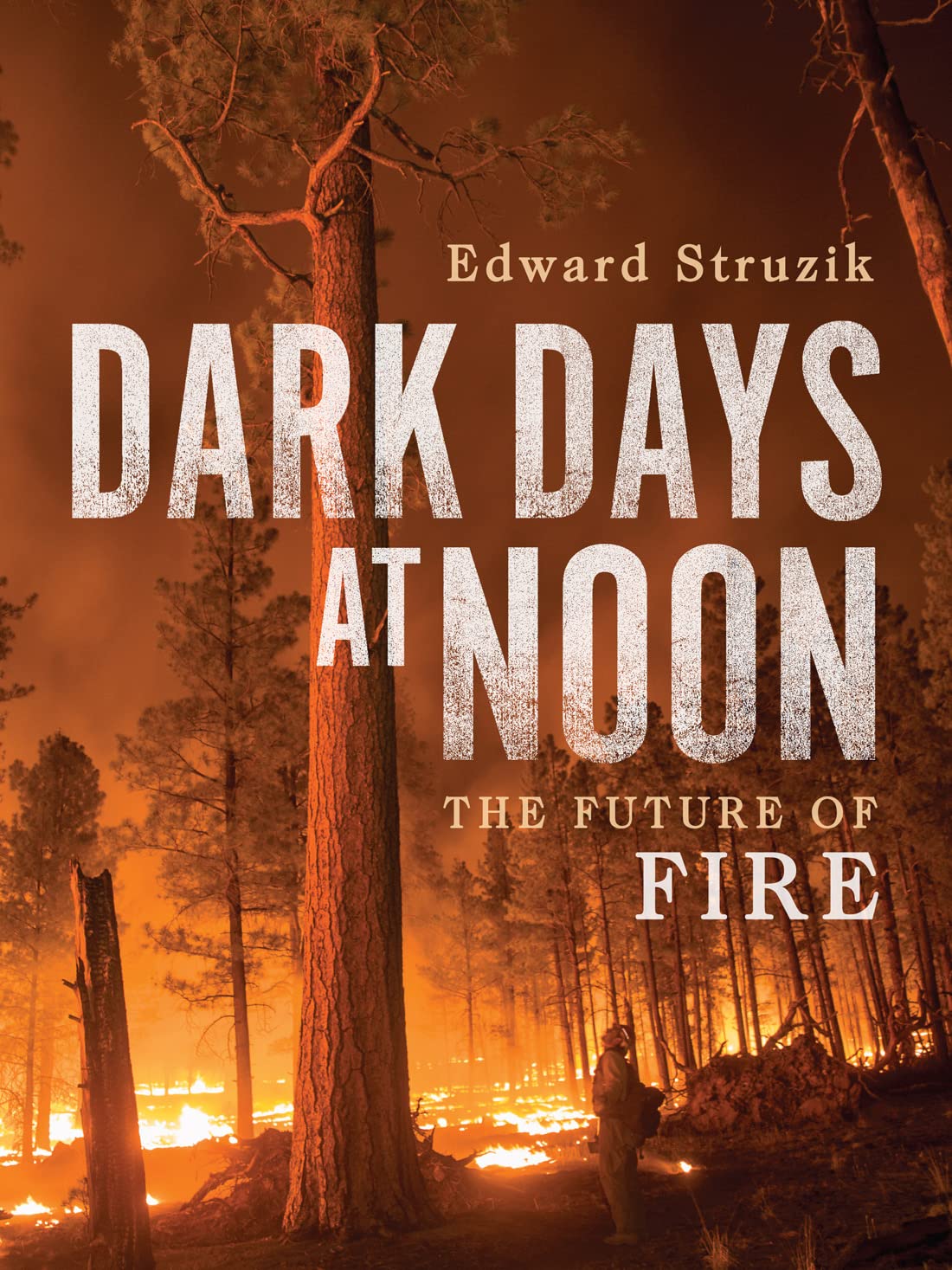 Dark Days At Noon The Future Of Fire Edward Struzik