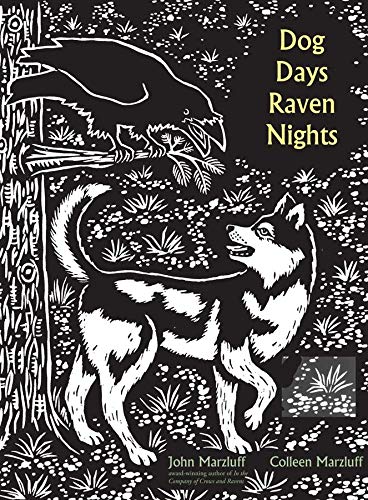 Dog Days Raven Nights 1st Edition John M Marzluff Colleen Marzluff