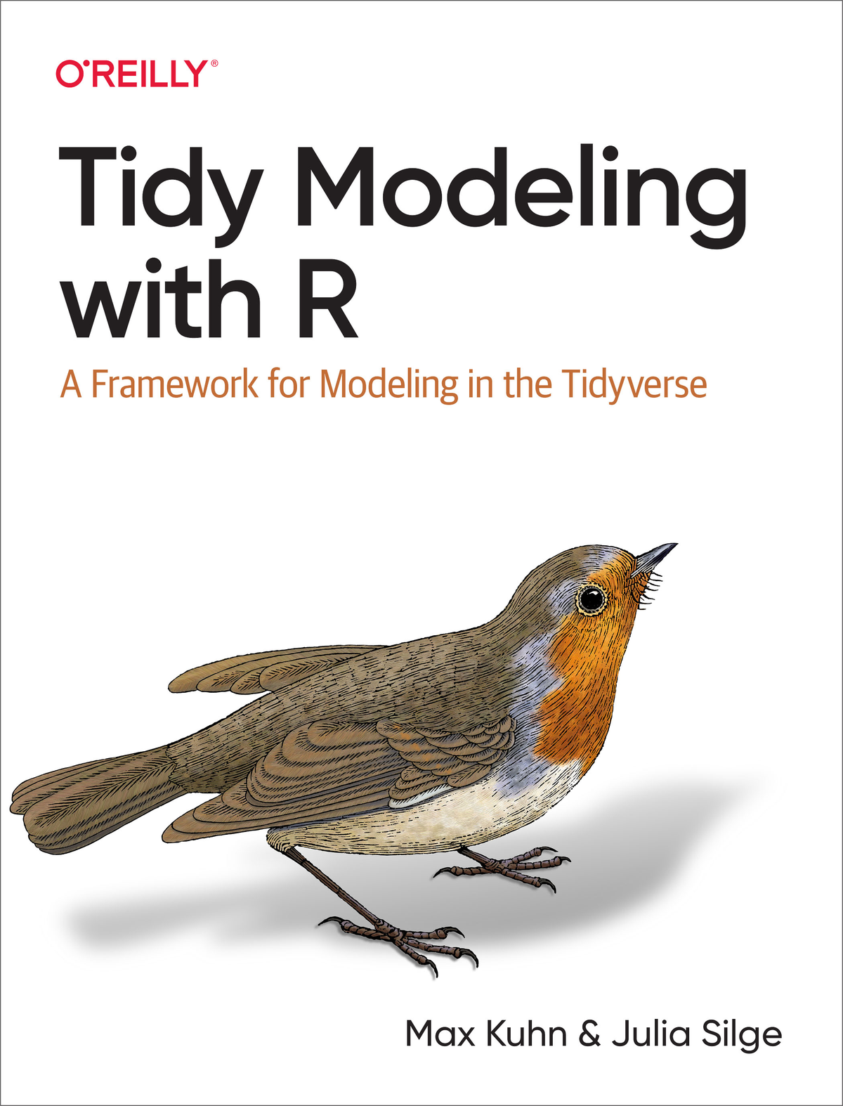 Tidy Modeling With R A Framework For Modeling In The Tidyverse Max Kuhn And Julia Silge