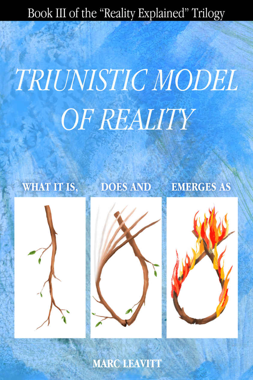 Triunistic Model Of Reality What It Is Does And Emerges As Marc Leavitt
