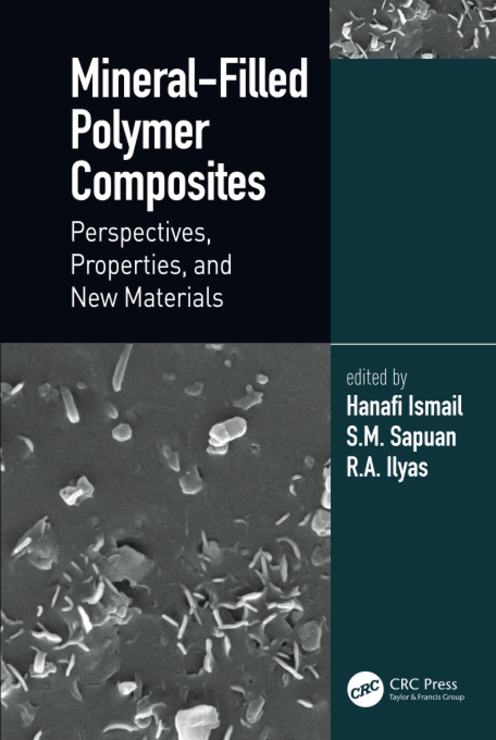 Mineralfilled Polymer Composites 1st Edition Hanafi Ismail Editor
