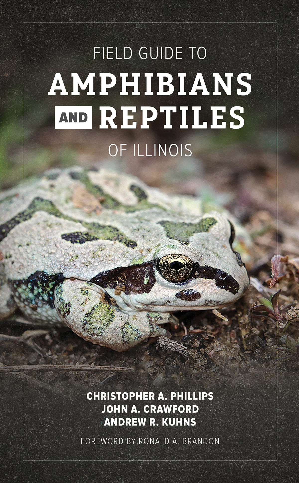 Field Guide To Amphibians And Reptiles Of Illinois Christopher A Phillips