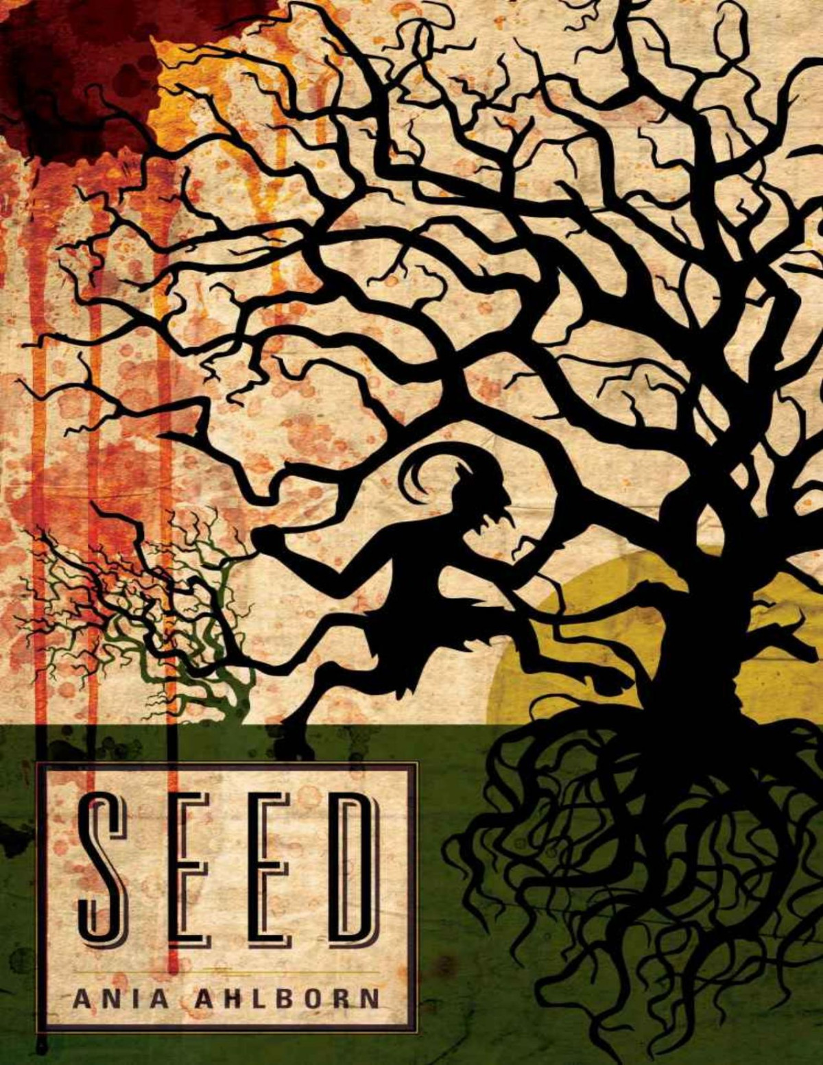 Seed Ania Ahlborn