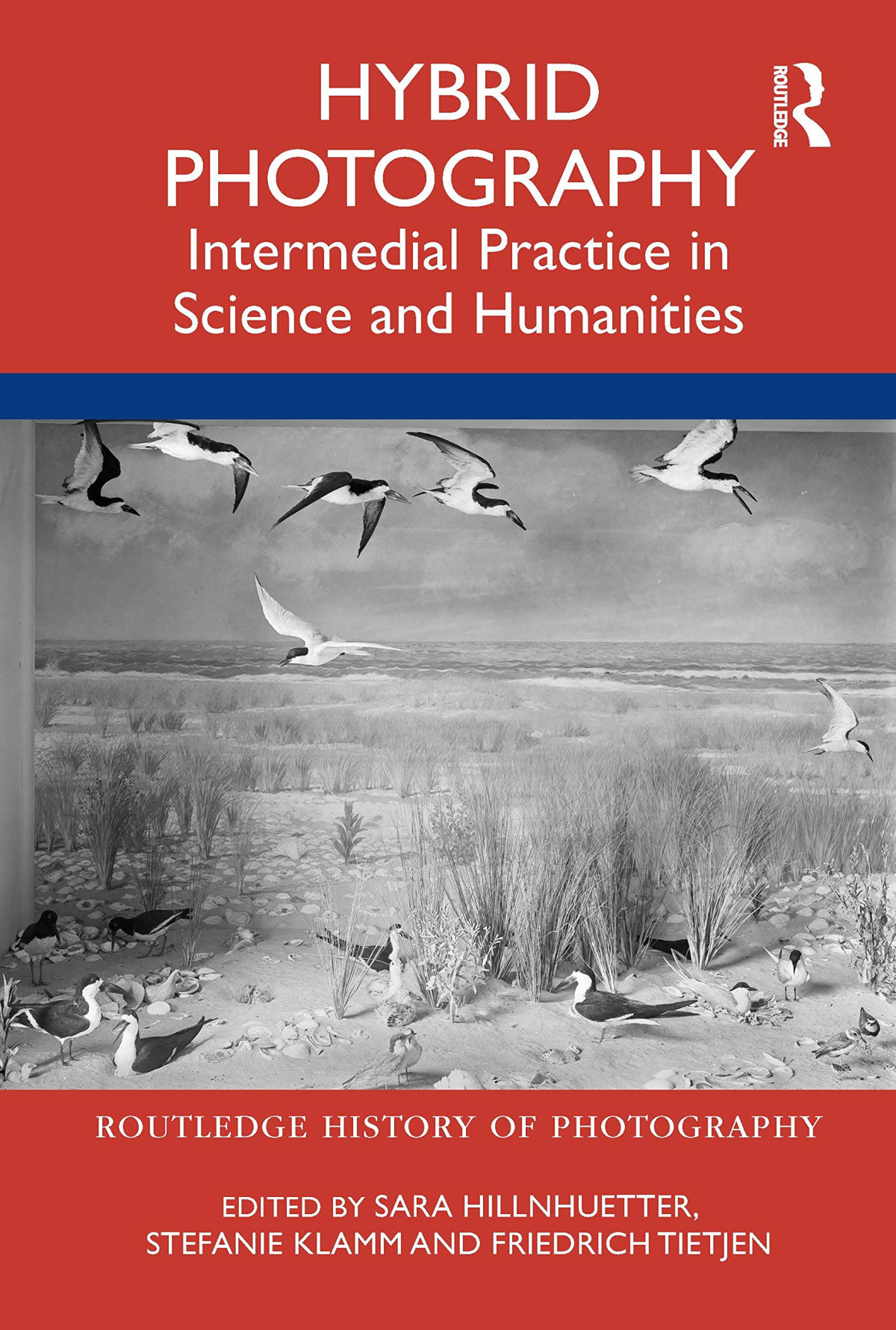 Hybrid Photography Intermedial Practices In Science And Humanities 1st Edition Sara Hillnhuetter