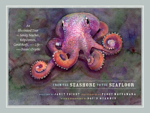 From The Seashore To The Seafloor An Illustrated Tour Of Sandy Beaches Kelp Forests Coral Reefs And Life In The Ocean Janet Voight