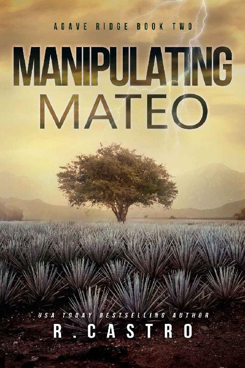 Manipulating Mateo Agave Ridge Mexico 02 R Castro