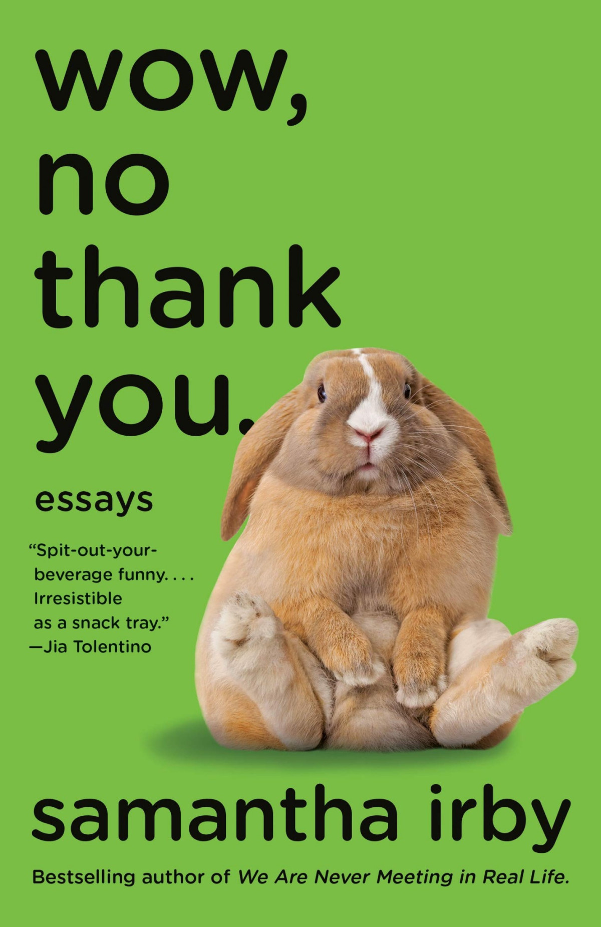Wow No Thank You Essays Samantha Irby