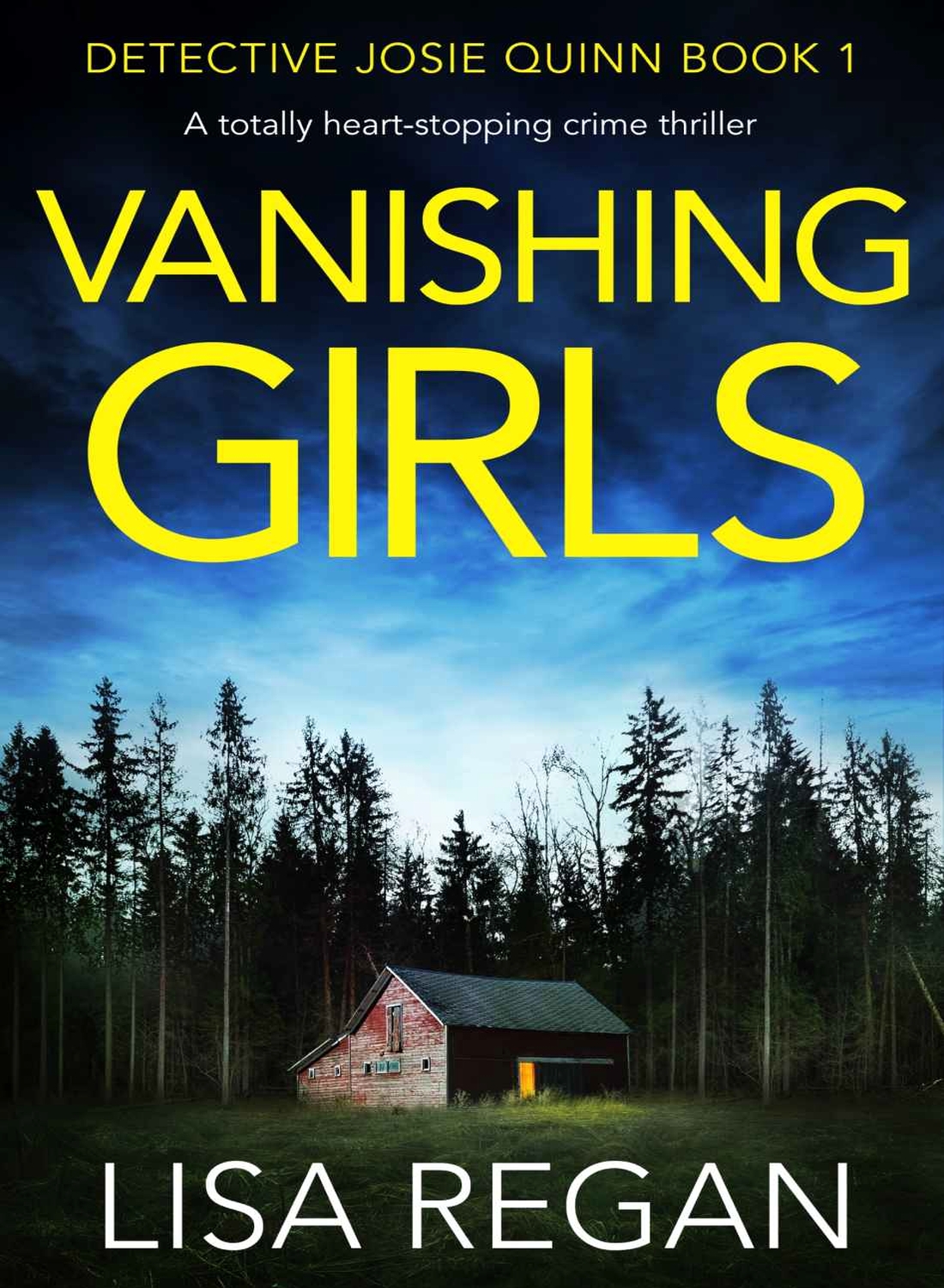 Vanishing Girls 1st Edition Lisa Regan