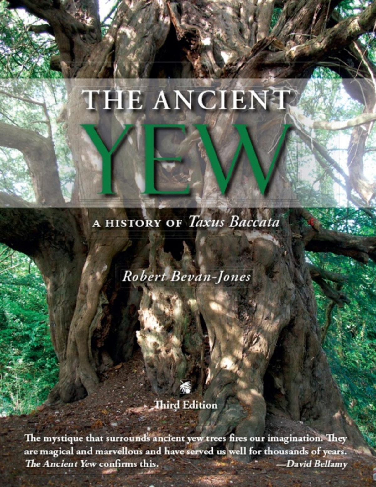 The Ancient Yew Robert Bevanjones