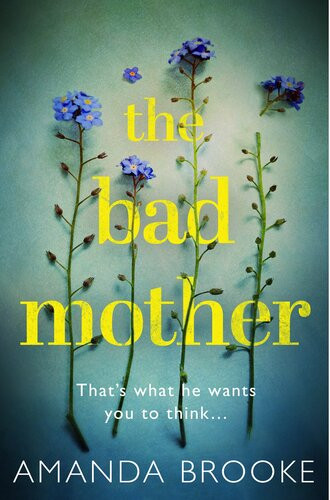 The Bad Mother Amanda Brooke