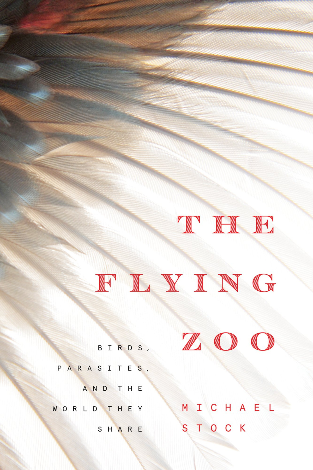 The Flying Zoo Birds Parasites And The World They Share Michael Stock