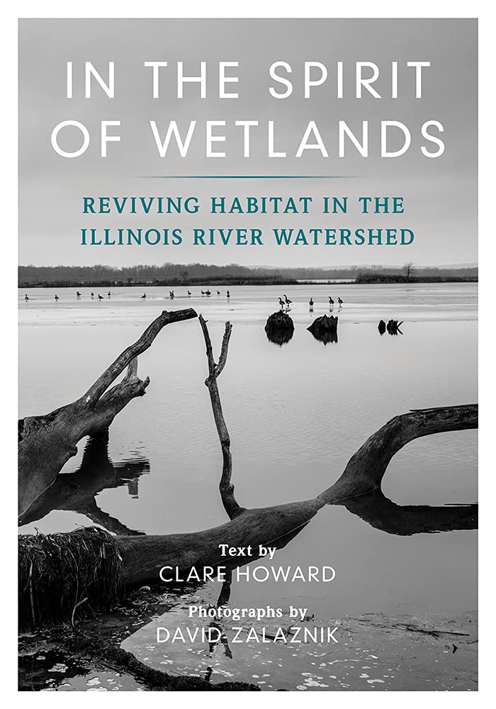 In The Spirit Of Wetlands Clare Howard