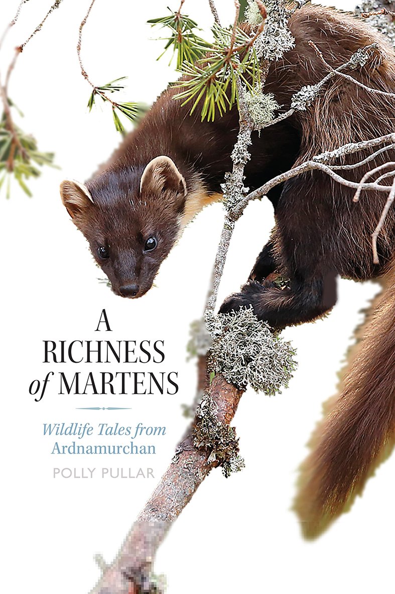 A Richness Of Martens Wildlife Tales From The Highlands Polly Pullar